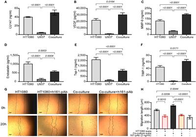 Soluble CD147 regulates endostatin via its effects on the activities of MMP-9 and secreted proteasome 20S